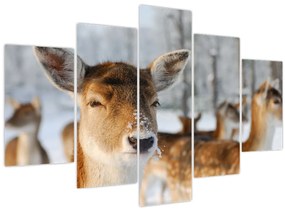 Tablou - Cerbi (150x105 cm)