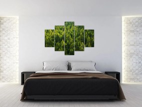 Tablou - Pădure deasă (150x105 cm)