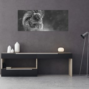 Tablou - Veveriță în timpul iernii (120x50 cm)