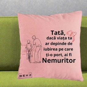 Cadou pentru Tata - Perna Personalizata Tata Nemuritor Bicicleta, 40x40 cm, Roz, Husa Detasabila, Perna Inclusa, BEKZ®