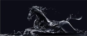 Tablou - Cal și apă (120x50 cm)