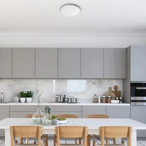 Rabalux 3427 - Plafonieră LED PAVEL/18W/230V