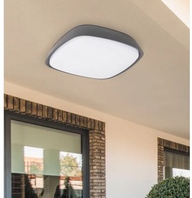 Rabalux 8797 - LED Plafonieră exterior AUSTIN LED/20W/230V IP65