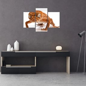 Tablou cu șopârlă (90x60 cm)