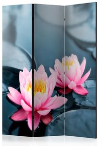 Paravan - Lotus blossoms [Room Dividers]