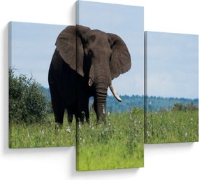 Tablou cu elefant (90x60 cm)