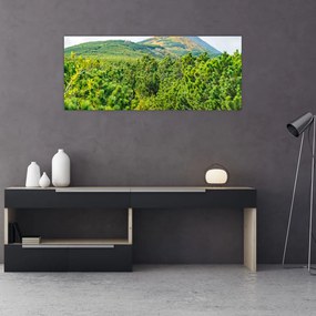 Tablou - Babi Hora, Polonia (120x50 cm)