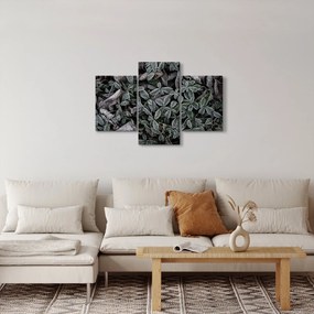 Tablou - Plante înghețate (90x60 cm)