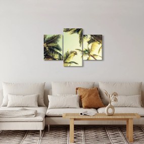 Tablou - Palmieri de cocos (90x60 cm)