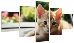 Tablou cu pisicuța (125x70 cm), în 40 de alte dimensiuni noi