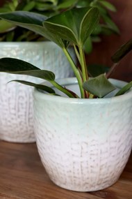 Ghiveci verde din portelan, cu model, H15/D16 cm , Fayence