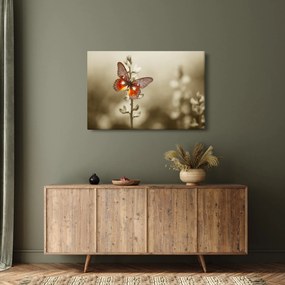 Tablou cu fluture (90x60 cm)