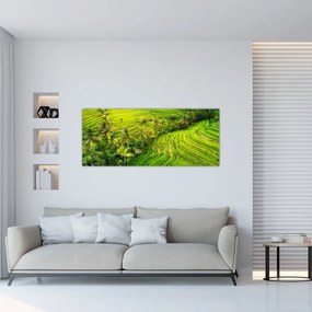 Tablou - Terase de orez (120x50 cm)