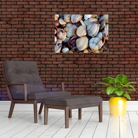 tablou cu scoici (70x50 cm)