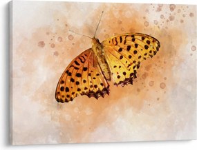 Tablou - Fluture portocaliu, aquarelă (70x50 cm)