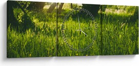Tablou cu natura - lunca (cu ceas) (90x30 cm)