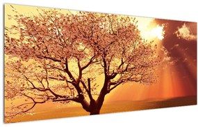 Tablou cu razele lui Dumnezeu (120x50 cm)