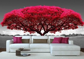 Fototapet, Un copac roz Art.01365