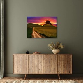 Tablou cu câmp și cerul colorat (70x50 cm)