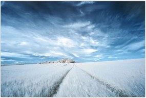 Tablou - Câmp (90x60 cm)