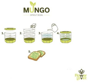 Bol de germinare Flower Lover Mungo, gri antracit