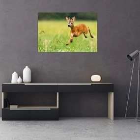 Tablou - Haită (90x60 cm)