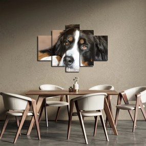 Tablou cu câine (150x105 cm)