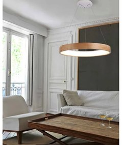 Azzardo AZ2699 - Lustră LED pe cablu SILVAM 1xLED/50W/230V