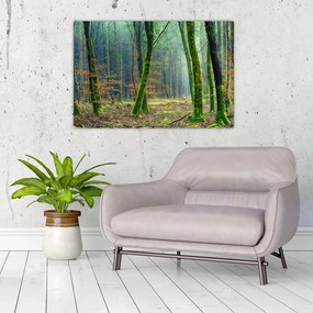 Tablou cu pădure (90x60 cm)