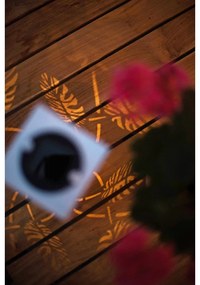 Decorațiune solară luminoasă cu LED Star Trading Albaleaf