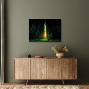 Tablou pe sticlă cu pădurea întunecată (70x50 cm)