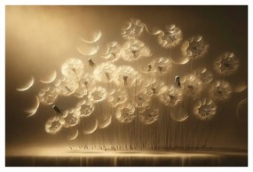 Tablou păpădii în lumină aurie