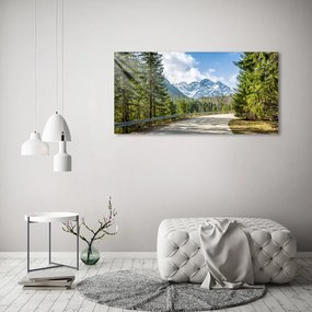 Tablou pe acril Road tatry