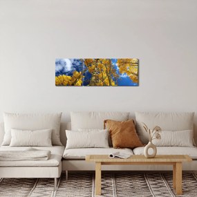 Tablou - Aspen (cu ceas) (90x30 cm)