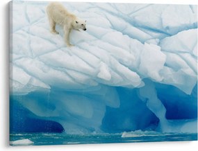 Tablou - Ursul polar (70x50 cm)