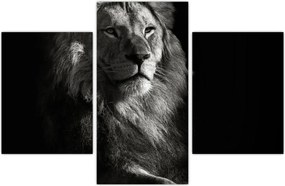 Tablou - Leu (90x60 cm)
