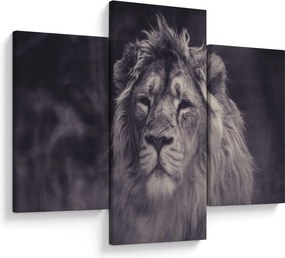 Tablou cu leu (90x60 cm)