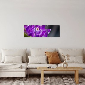 Tablou floarei (cu ceas) (90x30 cm)