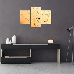 Tablou cu pânză de pâianjen cu rouă (90x60 cm)