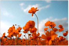 Tablou - Flori sălbatice (90x60 cm)
