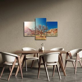 Tablou cu cu copac în deșert (90x60 cm)
