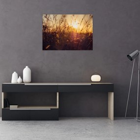 Tablou pe sticlă - Câmp la apus de soare (70x50 cm)