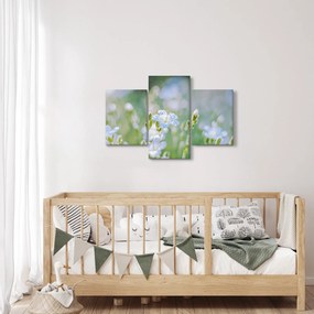 Tablou - Flori delicate (90x60 cm)