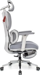 Scaun Ergonomic ProMesh X4D – Tetieră 4D, Suport Lombar Reglabil, Cotiere 4D, Sezut Translatie, Reclinare, Suport Picioare, Mesh, Gri