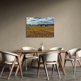 Tablou pe sticlă cu câmp recoltat (70x50 cm)