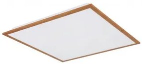 Plafoniera moderna led 24W Doro 416080D2W Globo