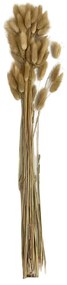 Buchet plante ornamentale, 60 cm, maro