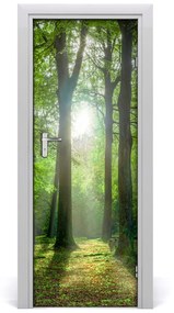 Autocolante pentru usi Soare în pădure