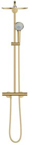 GROHE 26075GN0 - Sistem de duș EUPHORIA 310, 450 mm, auriu