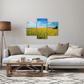 Tablou - câmp cu floarea soarelui (90x60 cm)